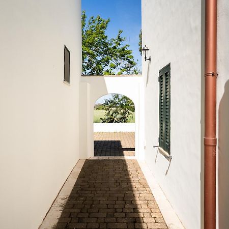 Tenuta Doxi Галлиполи Экстерьер фото