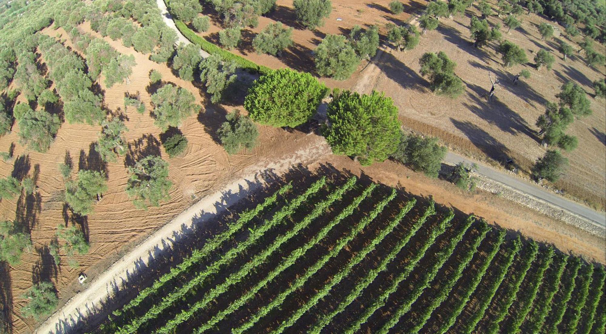 Tenuta Doxi Галлиполи Экстерьер фото