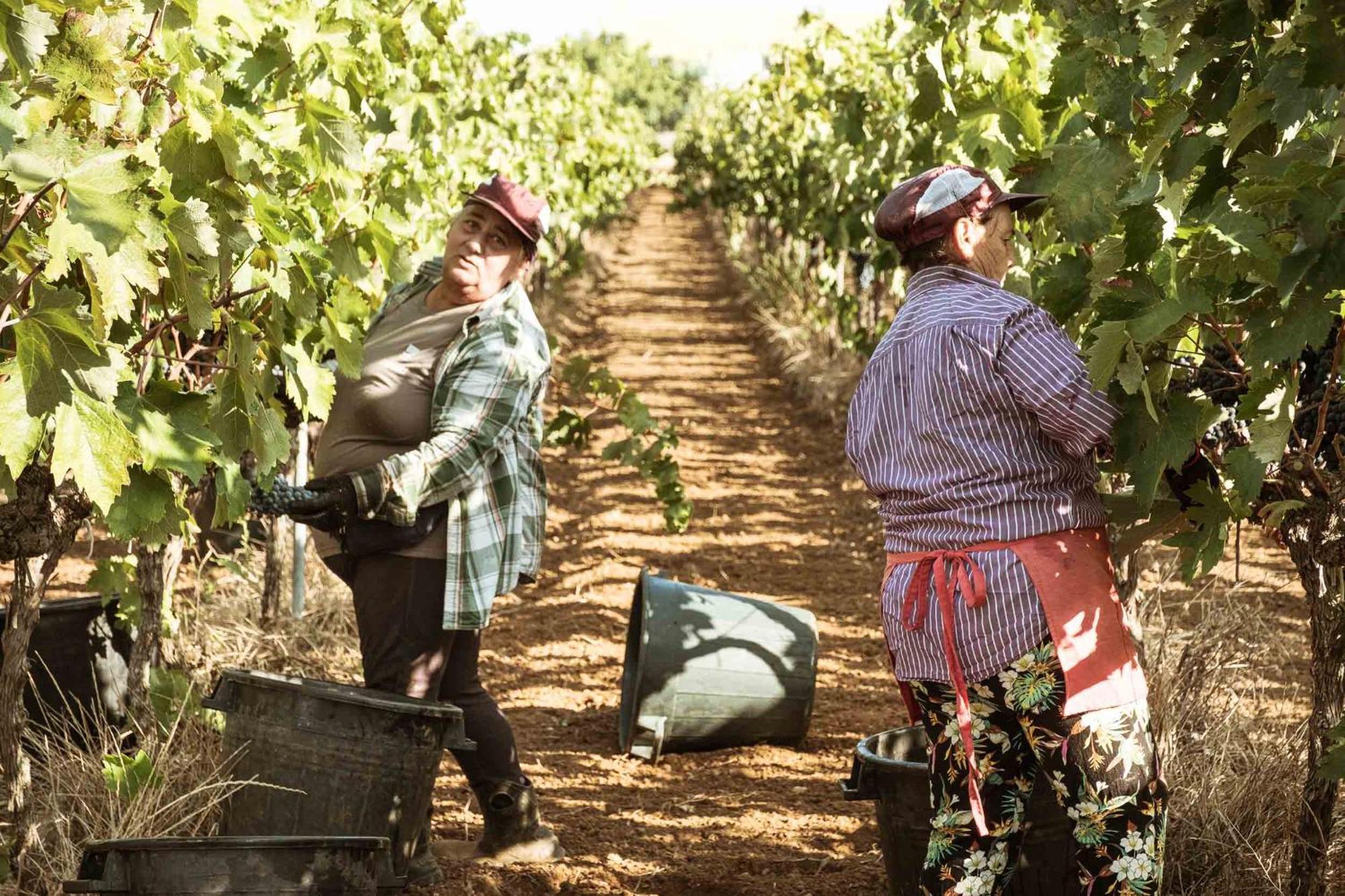 Tenuta Doxi Галлиполи Экстерьер фото